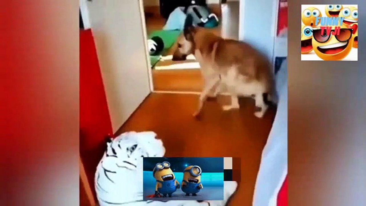 funny animals 21video_2023_04_14_