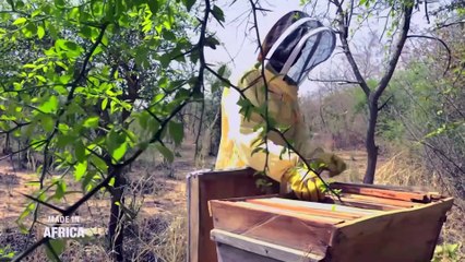 Made In Africa : Le miel de karité, trésor du Bénin (reportage 2)