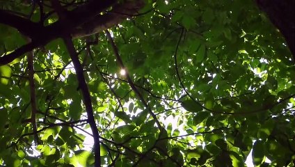 Good Music Share  好歌分享 - Wedding Invitation by Jason Farnham