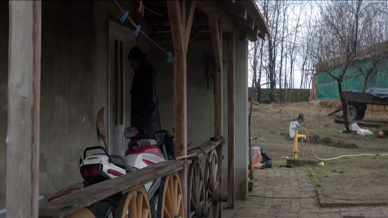 Horizonti (2017)