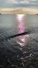 Ramzan teaches muslims for the whole year