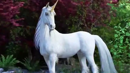 True story of flying horse of Hazrat Solomon حضرت سلیمان علیہ السلام کے اڑتے گھوڑے کی حقیقت