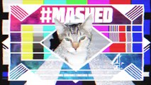 This is Mashed | MASHED