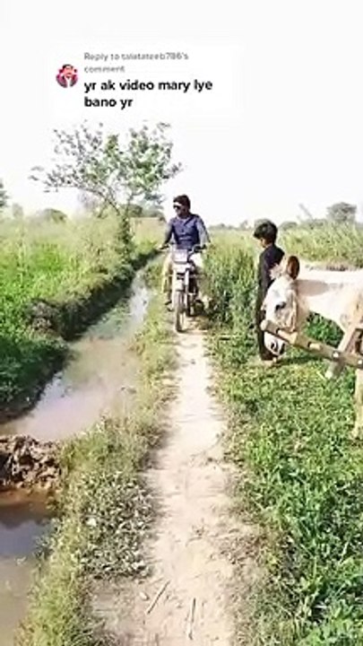 Funny video by Javed ali 2023