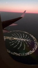 Beautiful nature night