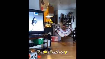 고양이가 무슨 소용이야-!  기분 좋은 고양이와 새끼 고양이의 영상!