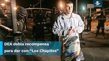 DEA quiere a “Los Chapitos” tras las rejas, eleva a 10 mdd recompensa