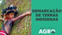 Exclusivo: áreas de demarcação de terras indígenas serão definidas neste mês