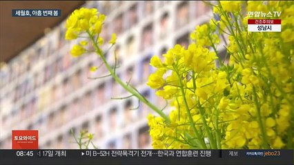 여전히 먹먹한 '그날의 봄'…내일 세월호 참사 9주기