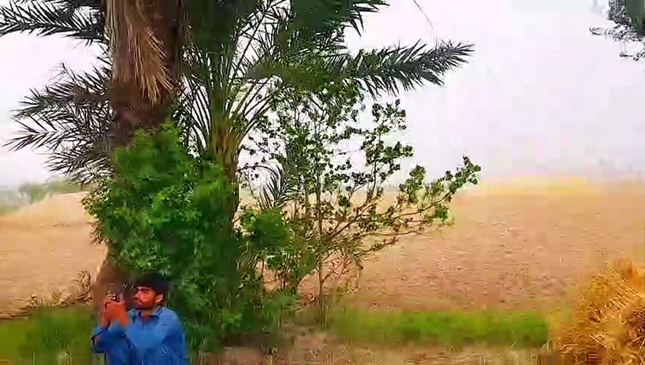 Pakistan punjab village work || village work in Pakistan punjab || rural life in punjab "Pakistan