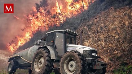 Así fue como el fuego consumió un bosque en España