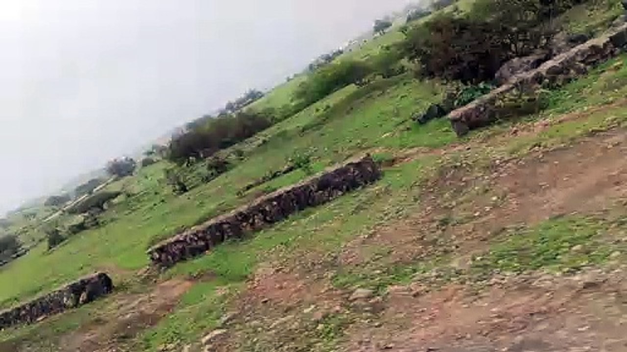 Tarwal to Oman