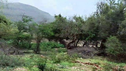 Travel to Oman