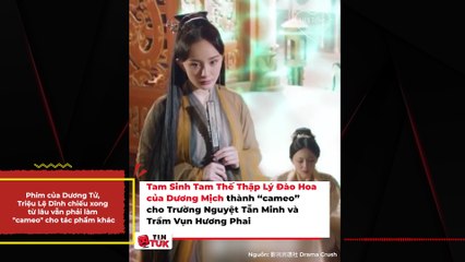 Phim của Dương Tử, Triệu Lệ Dĩnh chiếu xong từ lâu vẫn phải làm "cameo" cho tác phẩm khác | Điện Ảnh Net