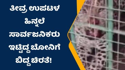 ಸಾರ್ವಜನಿಕರು ಇಟ್ಟಿದ್ದ ಬೋನಿಗೆ ಬಿದ್ದ ಚಿರತೆ!