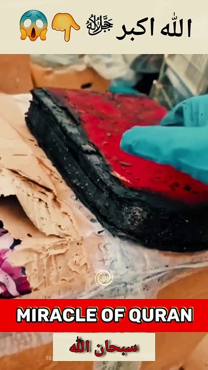 Miracle of Allah | Islamic Shorts | سبحان الله