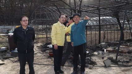 기업들 산불 피해 복구 위해 성금·현물 잇따라 기부 / YTN