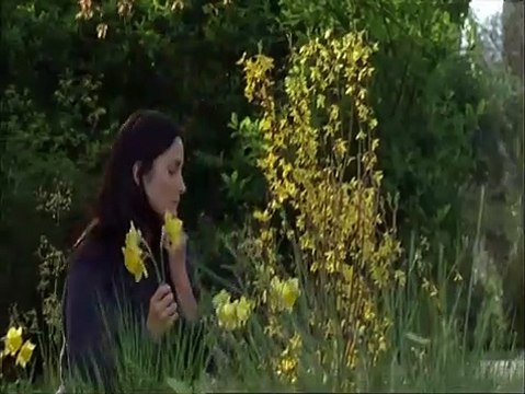 Normal Bande-annonce (EN)