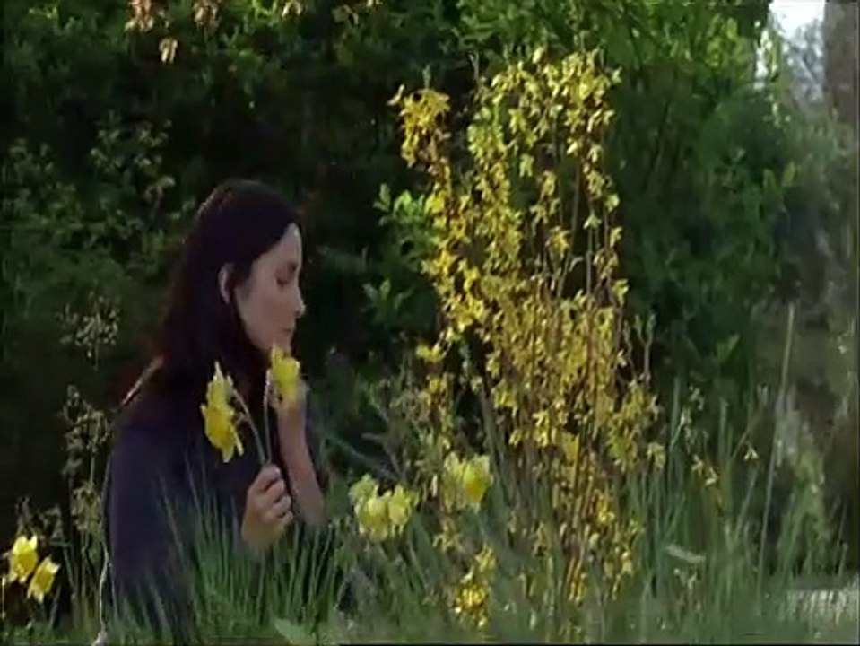 Normal Bande-annonce (EN)