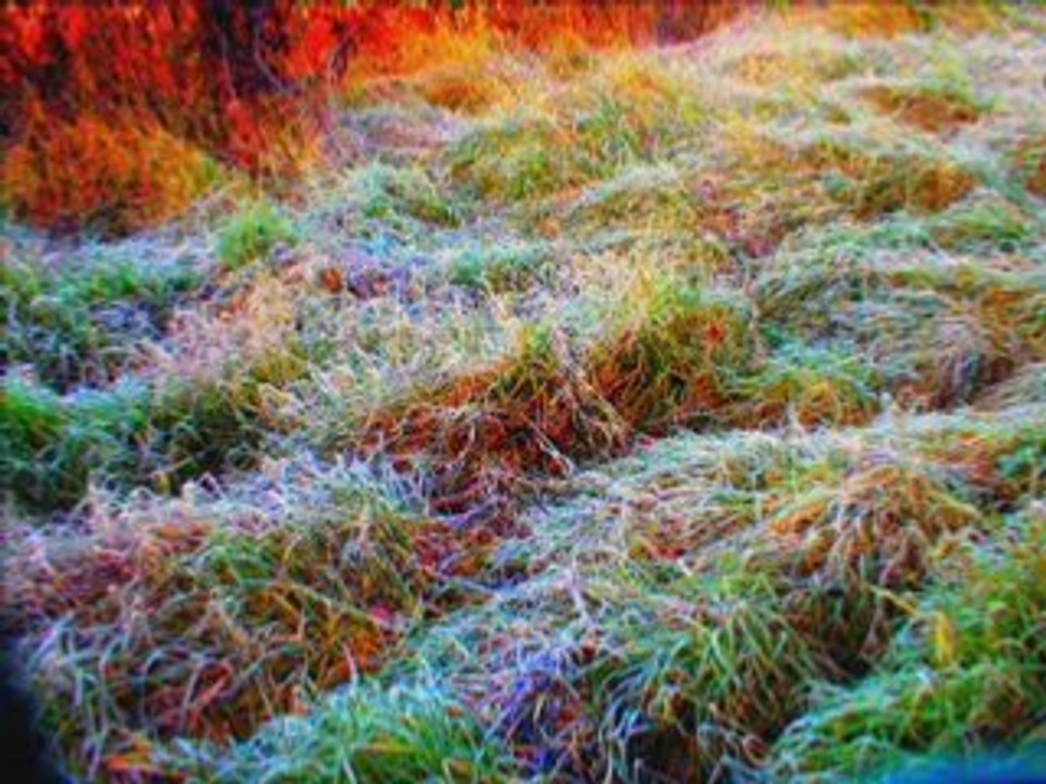 Cold feet , warm heart