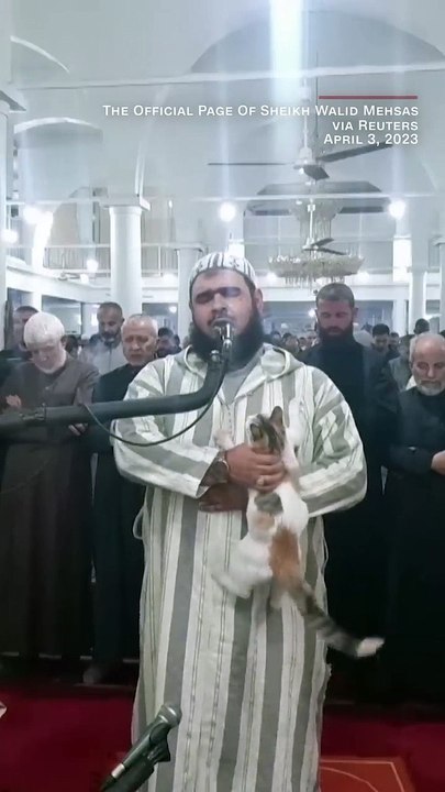 Cat jumps on sheikh leading prayer. See his reaction