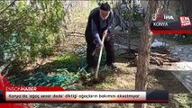 Konya'da 'ağaç sever dede' diktiği ağaçların bakımını aksatmıyor