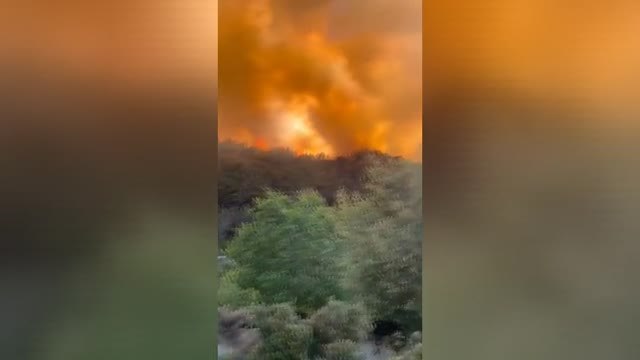 El incendio de Alzira evoluciona favorablemente a la espera de las rachas de viento