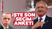 Kılıçdaroğlu mu Erdoğan mı? İşte Son Seçim Anketi Sonuçları!
