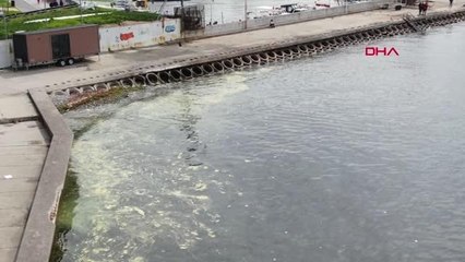 MARMARA'DA ENDİŞELENDİREN GÖRÜNTÜ - 1