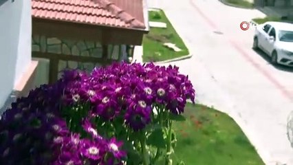 Türkiye’nin en büyük yangınından etkilenen köy TOKİ ile küllerinden yeniden doğdu