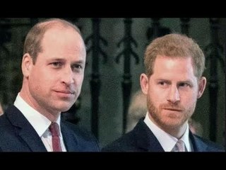 Il est peu probable que le prince Harry répare sa relation avec William car le « gouffre » entre eux