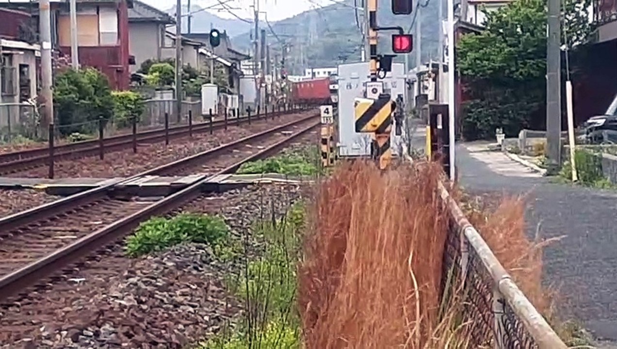 20220423_130612 その172 8053列車・8053列車 No.172 8053...