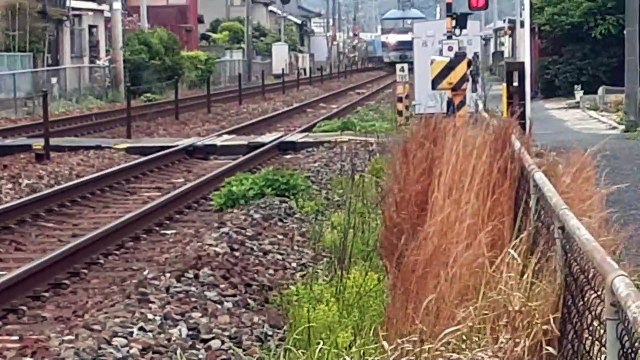 20220423_132334 その173 1059列車・1059列車 No. 173 Trains 1059 and 1059Le.