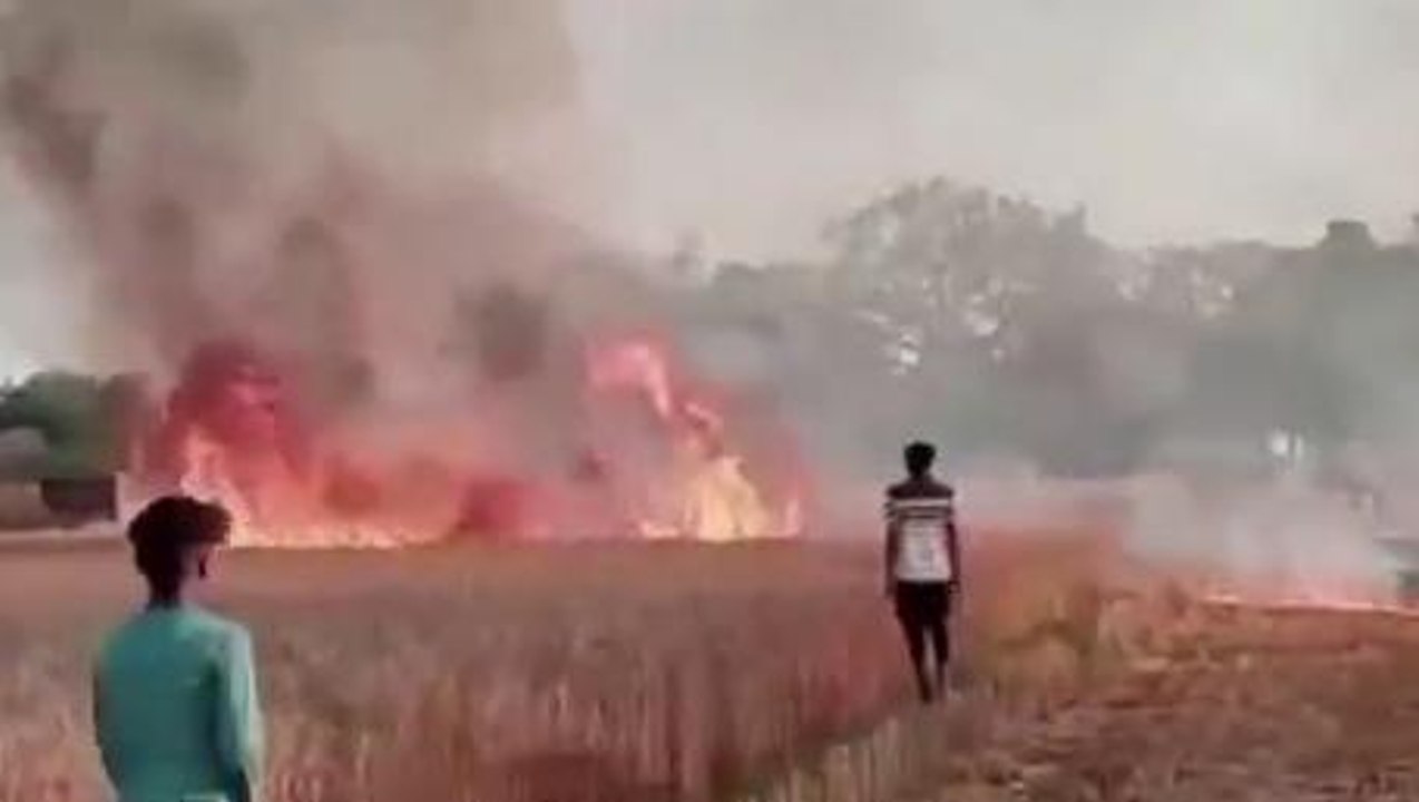 सुलतानपुर: गेहूं की खड़ी फसल में लगी भीषण आग, फायर ब्रिगेड ने ग्रामीणों की मदद से पाया काबू
