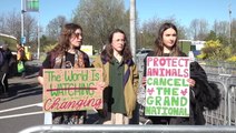 ‘We’re animal lovers’: Animal Rising protesters gather outside Grand National ahead of planned disruption