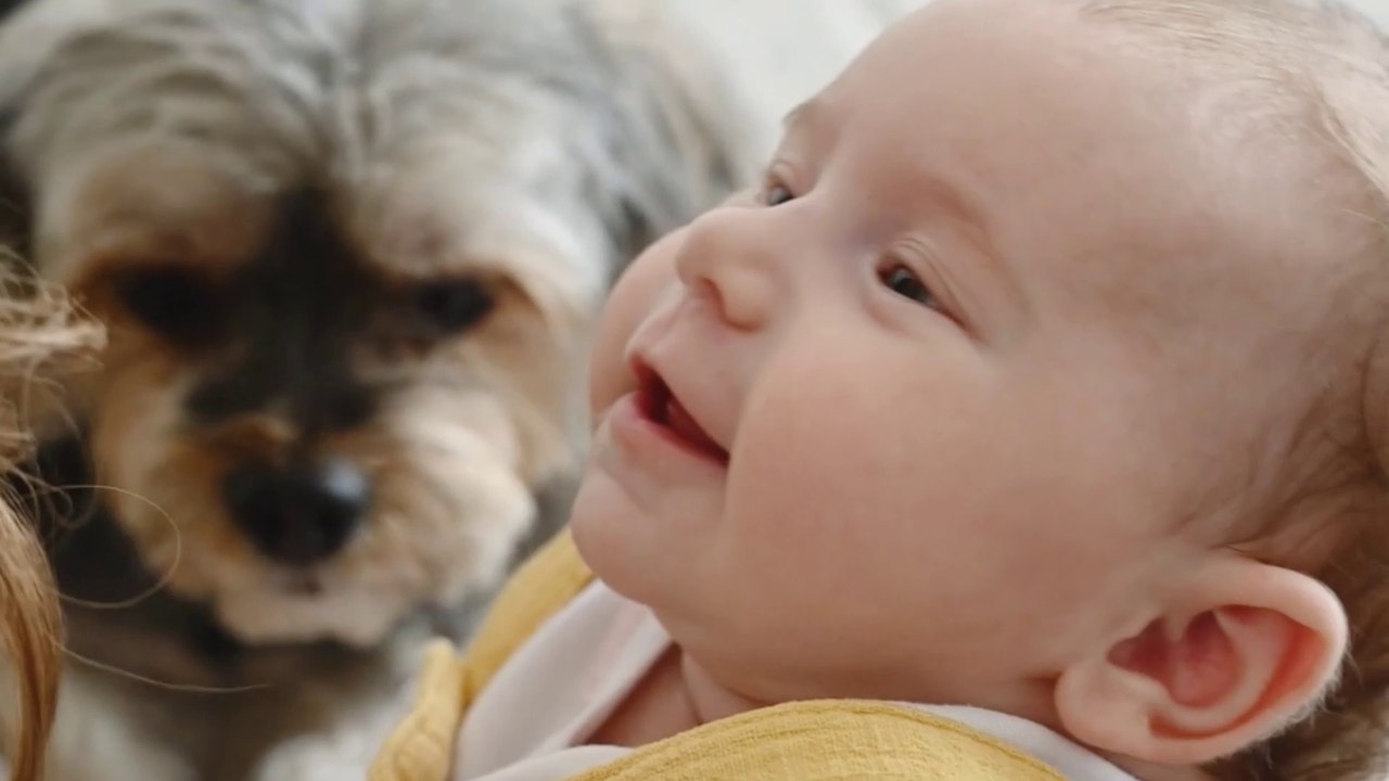 Cute baby and cats playing | funny cats | cute animals