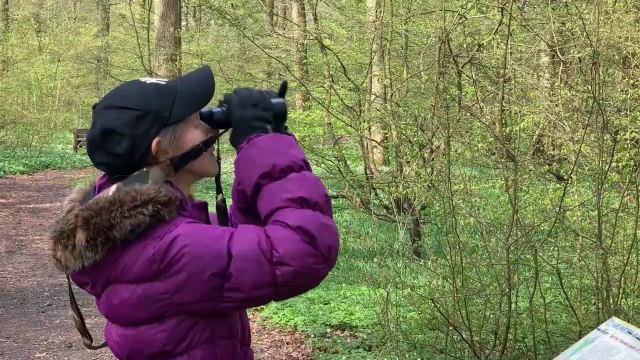 Arlington Bluebell Walk 2023 in East Sussex