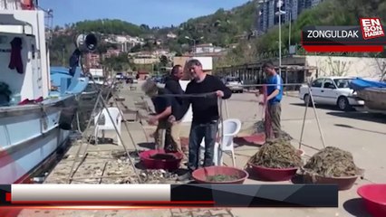 Zonguldaklı balıkçılar yeni sezon hazırlıklarına şimdiden başladı