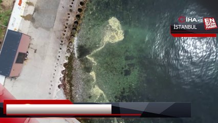 Kadıköy’de müsilajı andıran görüntü