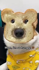 Mom, can you be quick_ I am so hungry