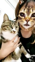 Who has such a cute beautiful cat?