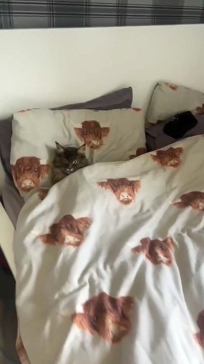 How Dare You Disturb Our Sleep