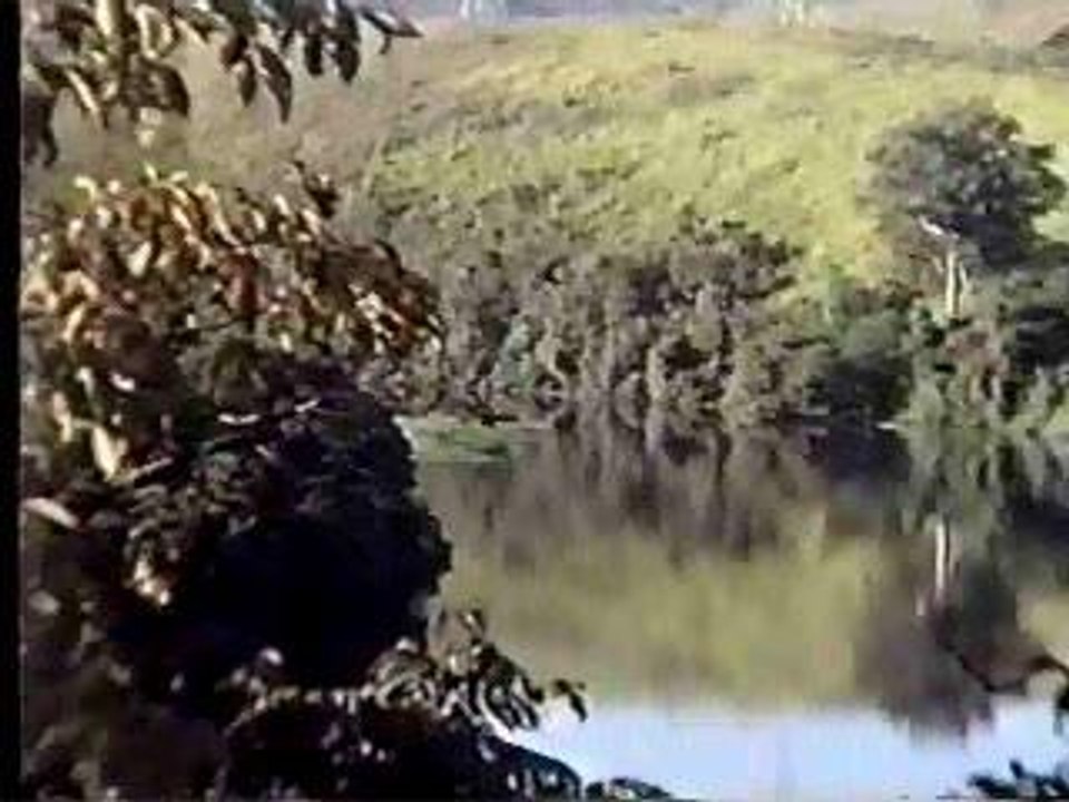 UFO-98-(Brazil - unbeliveable)