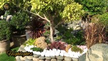 || GARDENING TIPS || kitchen gardening WITH #AP&SF#