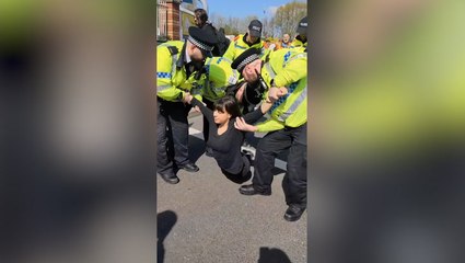 Police carry protester away as Animal Rising demonstration held outside Grand National