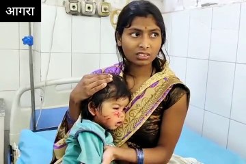 मासूम को कुत्ते ने नोचा