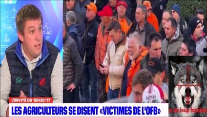 +12% d'attaques et de victimes Une grosse colère un éleveur bas-alpin écœuré