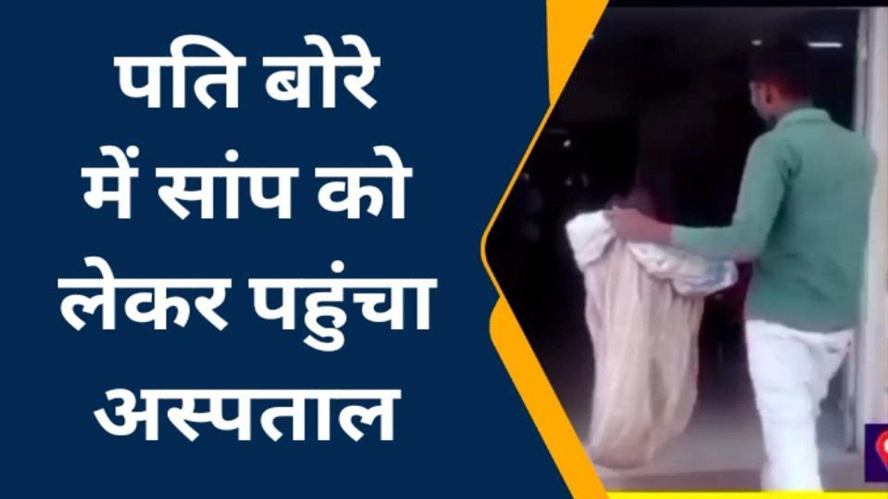 'पत्नी को सांप ने काटा...' तो बोरे में सांप लेकर अस्पताल पहुंच गया पति, देखिए वीडियो