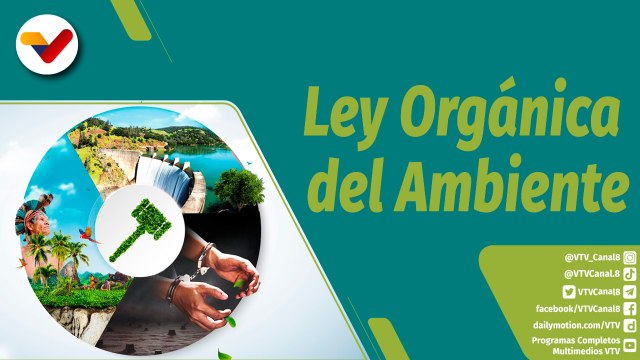 Punto Verde | Ley Penal del Medio Ambiente para proteger la naturaleza