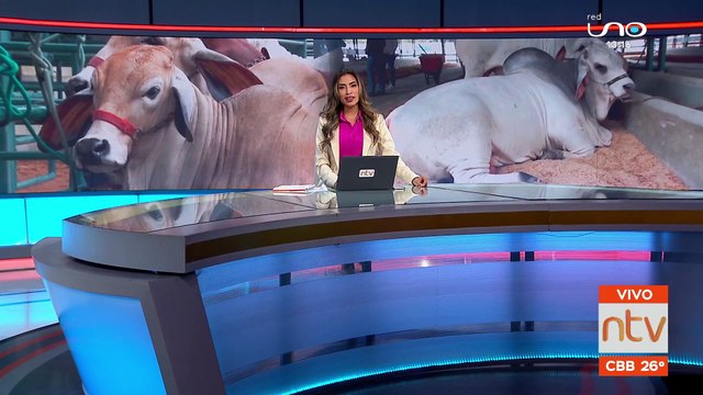 547 bovinos seran exhibidos en Agroprecruz 2023